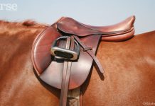 english saddle fit