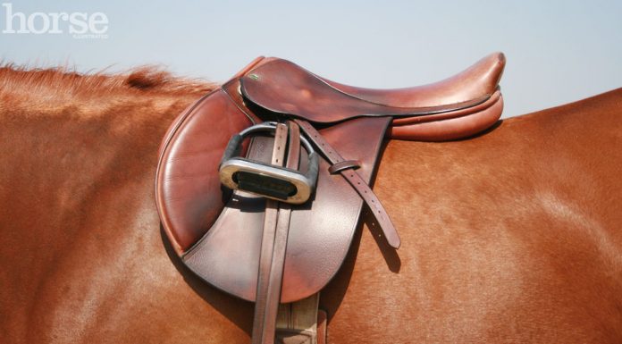 english saddle fit