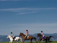 Equine Land Conservation Resource wins 2012 Equine Industry Vision Award english trail ride