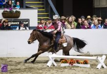equine affaire versatile