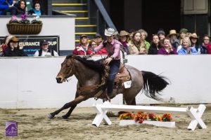 Seeking Versatile Horses and Riders for Equine Affaire