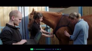 Equisense Care: A New Way to Monitor Your Horse’s Health