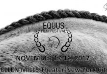 EQUUS FIlm Festival Madras