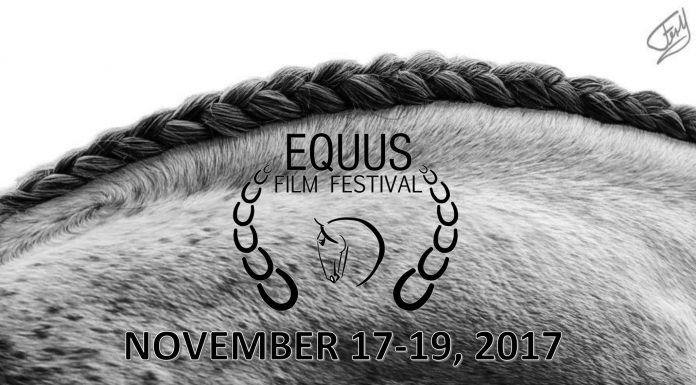 EQUUS FIlm Festival Madras