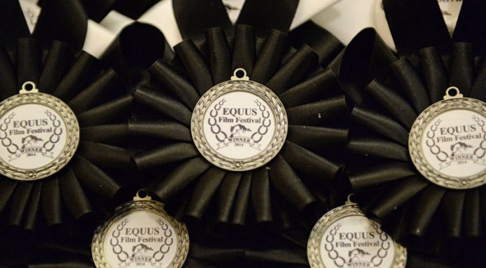 EQUUS FIlm Festival Madras