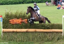 Featured Video: Highlights from the 2017 Rolex Kentucky Three-Day Event erin sylvester