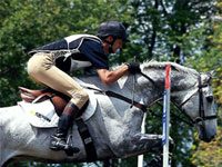 Online Auction is Underway eventer