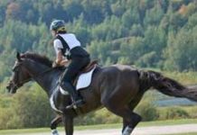 Three-Day Eventing Riders Urged to Slow Down eventing