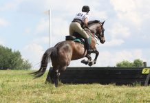 Three Equestrian Disciplines I’d Like to Try, But Probably Won’t Riding a cross-country course