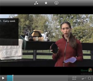 Everyday Horse Grooming Video