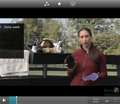 everyday grooming thmb