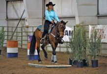 extreme mustang makeover