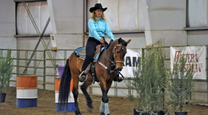 extreme mustang makeover