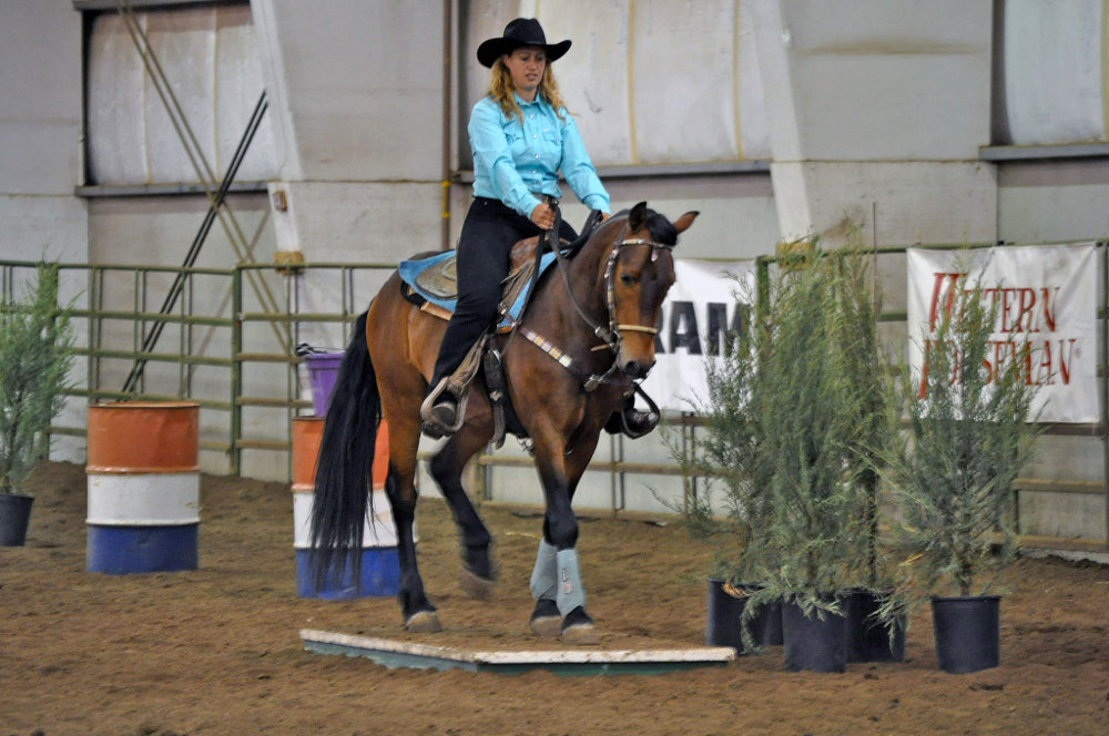 Extreme Mustang Makeover 2018 dates and locations announced