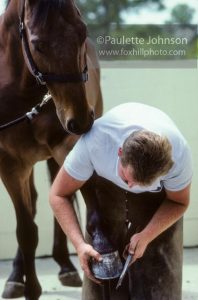 Choosing a Farrier and Establishing a Successful Relationship