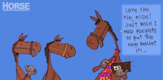 This Week in Horses — June 13, 2014 fathers day