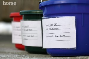 4 Reasons to be Thankful for Feed Buckets