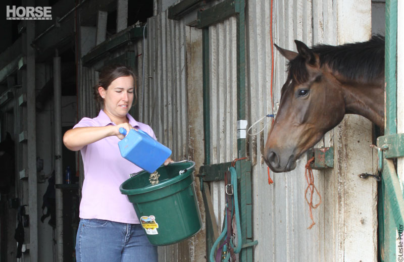 Feeding grain to a horse