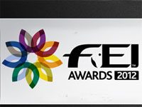 fei awards