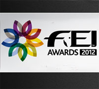 fei awards