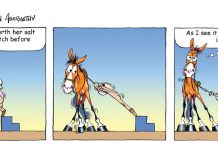 fergus mounting block