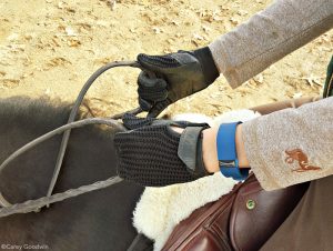 Fitness Trackers for Equestrians