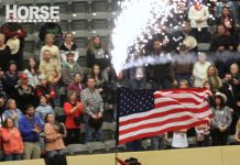 Horses and fireworks: Keep your horse safe this Fourth of July flag horse fireworks