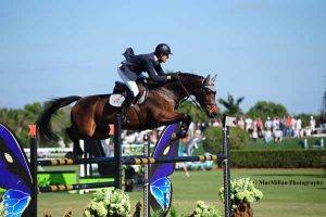 A Horse Lover’s Guide to a Florida Winter Vacation