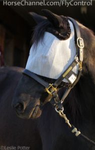 Fly Control Resources