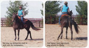 Teaching Flying Changes