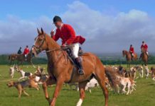 foxhunting