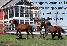 fracking foal illness