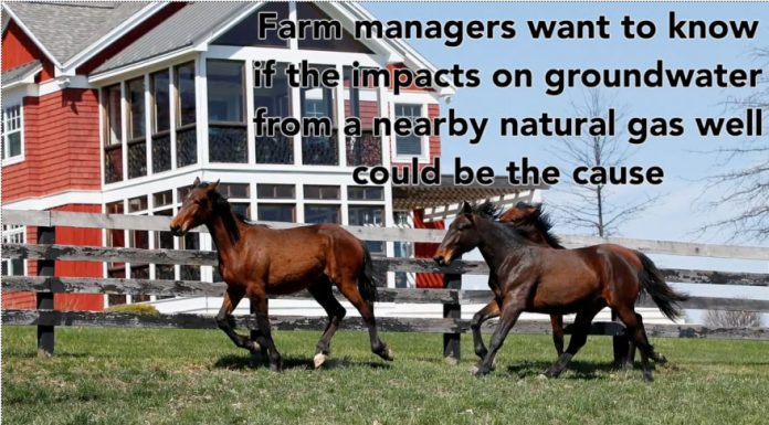 fracking foal illness