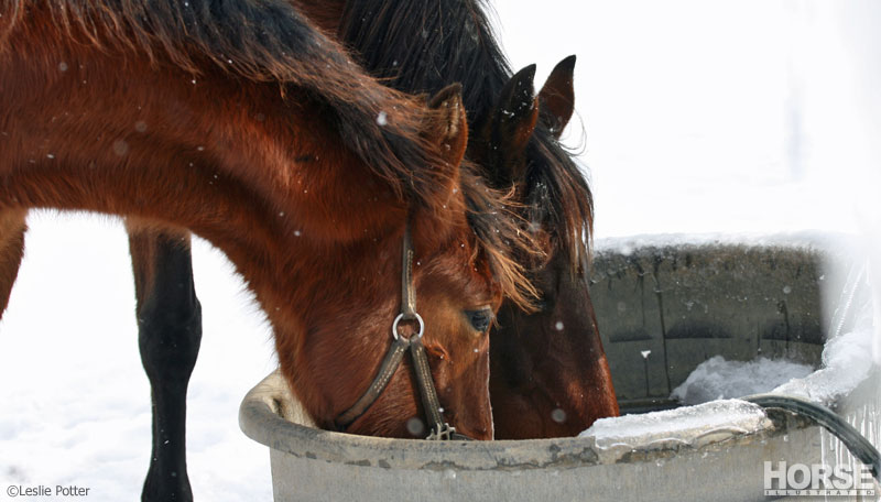 Keep Your Horse Hydrated During Cold Winter Weather