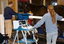 New Gait Analysis System Available Soon gait analysis