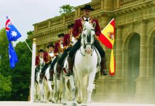 gala of royal horses