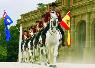 gala of royal horses