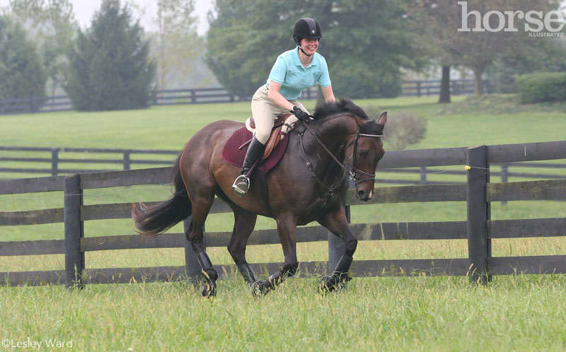 Cantering a horse uphill