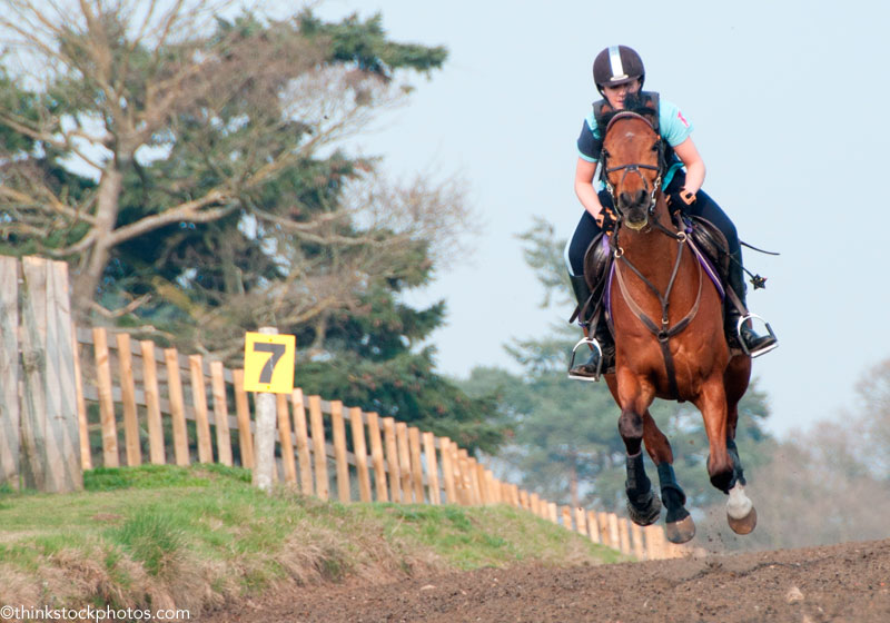 Galloping a horse