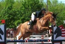 New Jersey Tradition Underway garden state