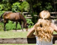 girl fence horse