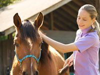 girl grooming pony