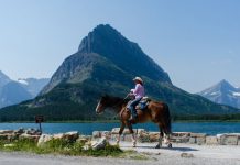 glacier national park horse