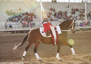 Acrobatics on Horseback…Cowgirl Style