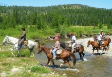 grand tetons horseback riding