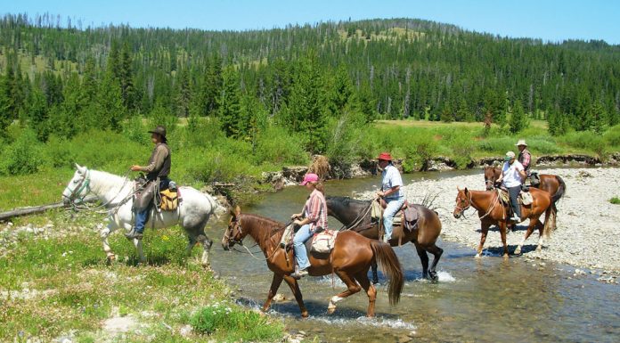 grand tetons horseback riding