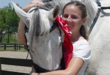 Thoroughbreds in Sport gray boo