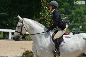 4 Horse-World Inventions to be Thankful For