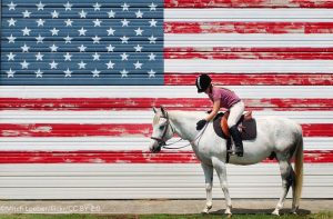 American Horse Council Launches 2017 Economic Impact Study