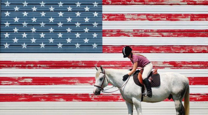 gray pony american flag